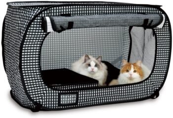 Best Cat Carrier For Car From Necoichi Portable Stress Free
