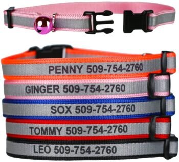 Best Cat Collar from GoTags Personalized Reflective with Name and Phone