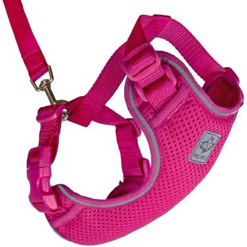 Best Cat Harness By RC Pet Products Primary Collection Adventure