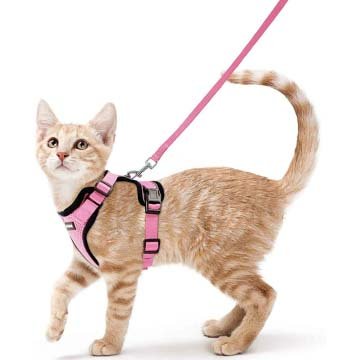 Best Cat Harness and Leash By rabbitgoo