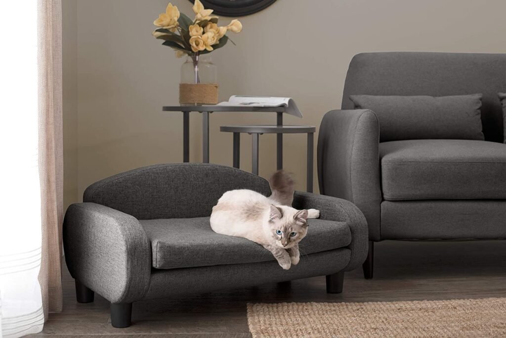Best Cat Sofa From Paws & Purrs Modern
