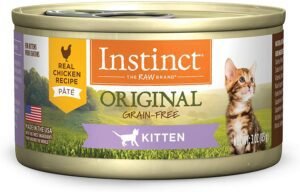 Best Kitten Food By Instinct Original Recipe Natural