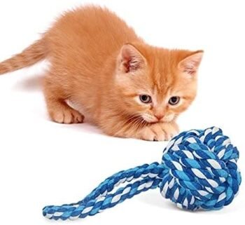 Best Kitten Teething Toys By SunGrow Rope Ball Chew Toy