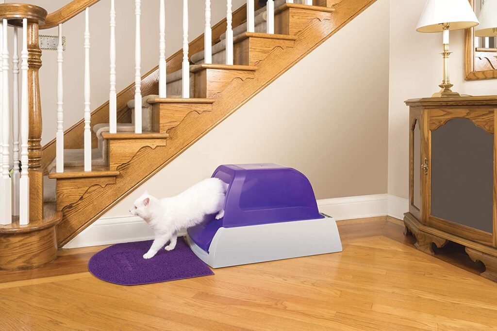 Best Self Cleaning Cat Litter Boxes By PetSafe ScoopFree Automatic, Covered 2nd Generation