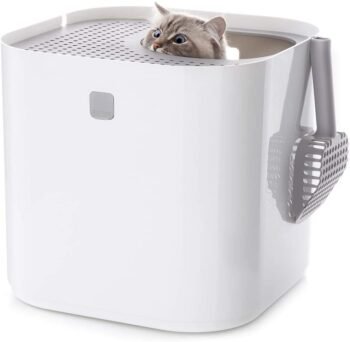 Best Self Cleaning Cat Litter Boxes From Modkat