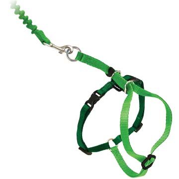 Best cat Harness by PetSafe Come With Me Kitty Harness and Bungee Leash