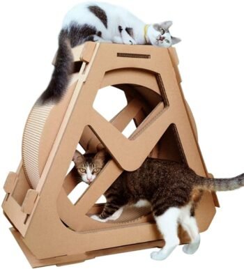 Best cat exercise wheel by The Creation Core