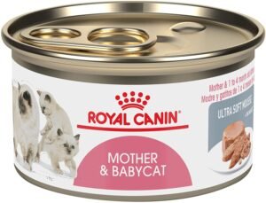 Best kitten food By Royal Canin Feline