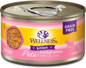 Best kitten food By Wellness Complete Health Pate Natural Canned