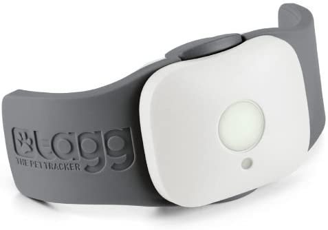 Cat GPS Tracker From TAGG3W