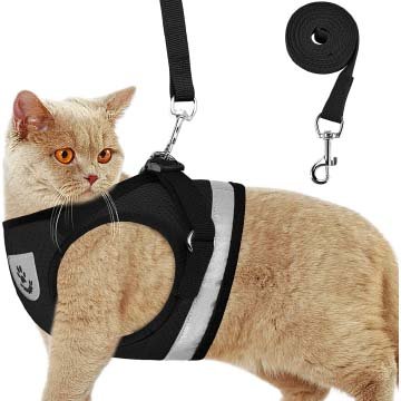 GAUTERF Cat Harnesses and Puppy Harness with Leashes Set