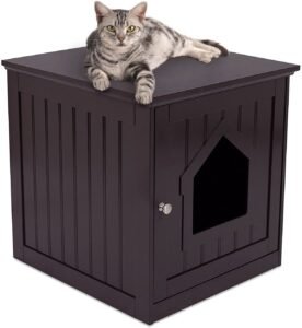 Internet's Best Decorative Indoor Cat House