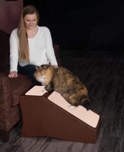Pet Gear Stramp Cat Ramp Bed