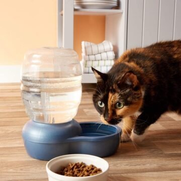 Petmate Replendish Gravity Water Bowl For Cat & Dogs