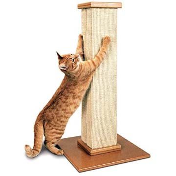SmartCat Pioneer Pet Ultimate Cat Scratching Post