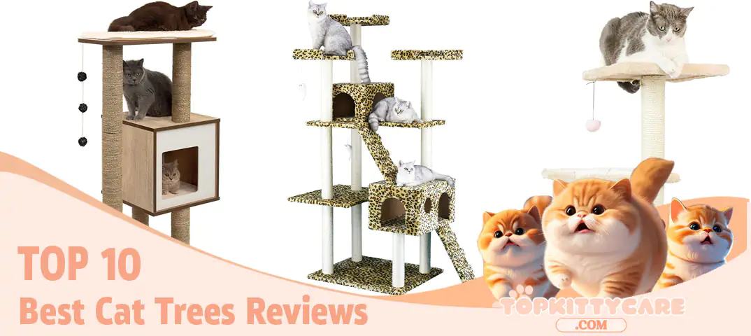 Top 10 Best Cat Trees Reviews