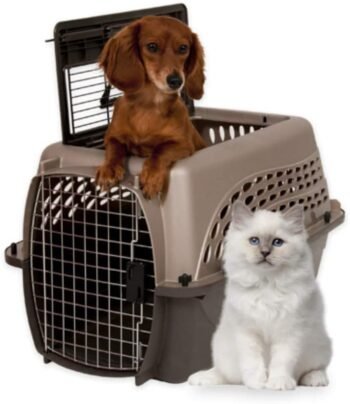 best cat carrier for car by The Petmate Two-Door Top Load