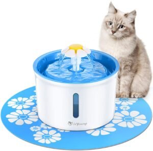 isYoung Cat Water Fountain