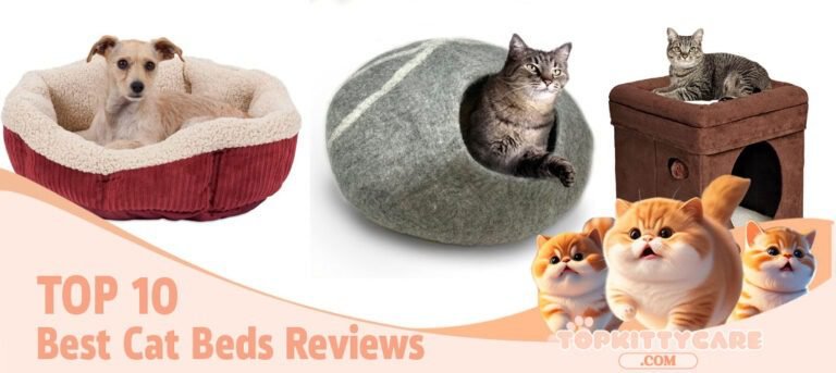 TOP 10 Best Cat Beds Reviews