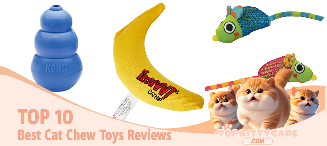 TOP 10 Best Cat Chew Toy Reviews