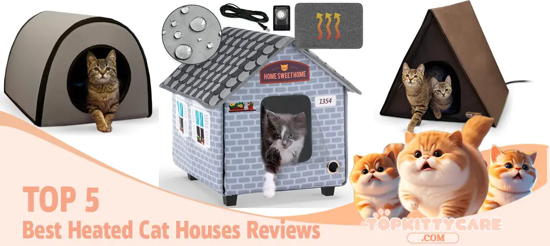 TOP 5 Best Heated Cat Houses Reviews-1