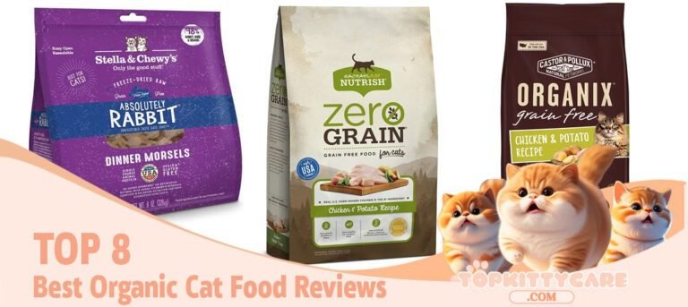 TOP 8 Best Organic Cat Food Reviews