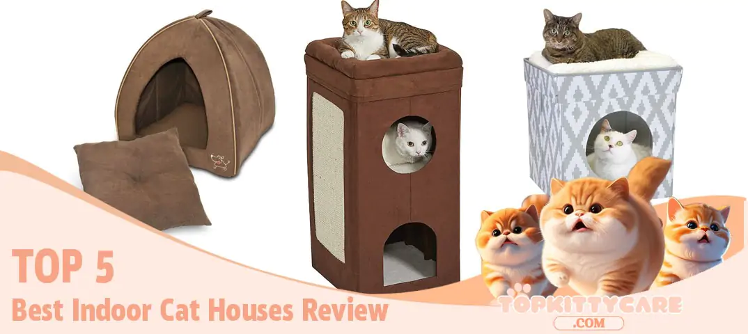 Top 5 Best Indoor Cat Houses Review-1
