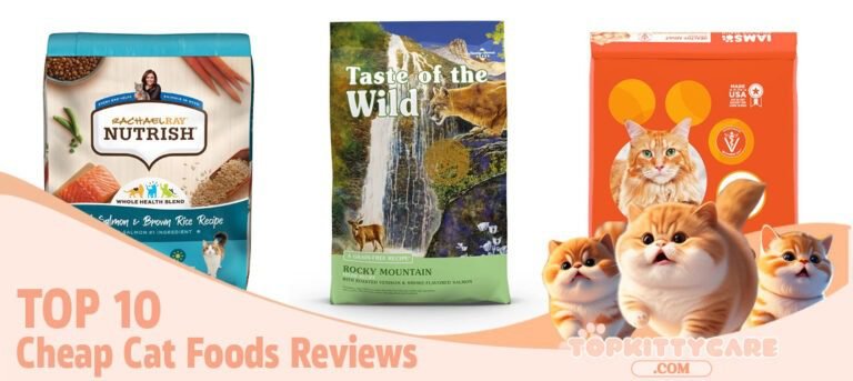 top 10 Cheap Cat Foods Reviews