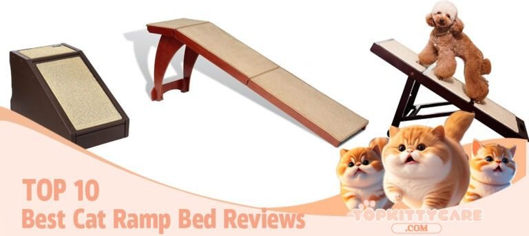 TOP 10 Best Cat Ramp Bed Reviews