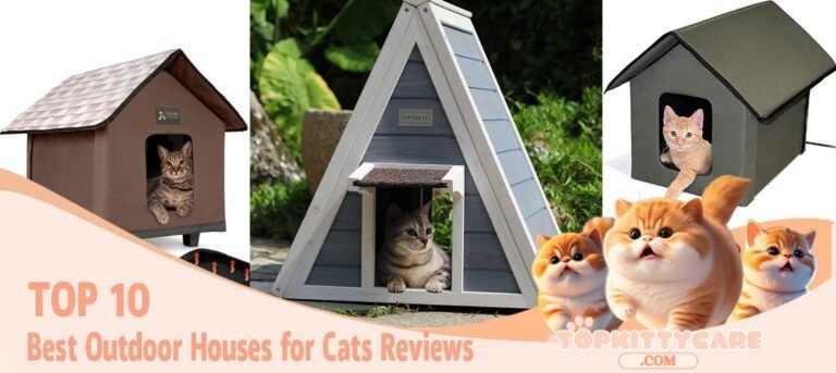 TOP 10 Best Outdoor Houses for Cats Reviews