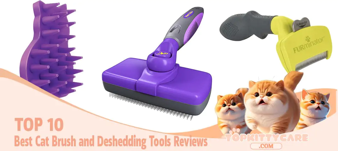 TOP 10 Best Cat Brush and Deshedding Tools Reviews