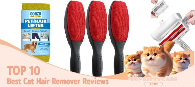 TOP 10 Best Cat Hair Remover Reviews