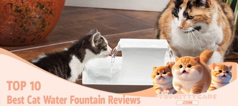 TOP 10 Best Cat Water Fountain Reviews