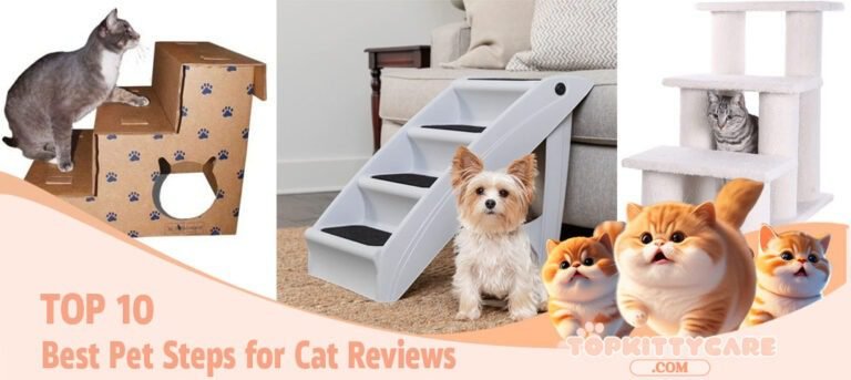 TOP 10 Best Pet Steps for Cat Reviews