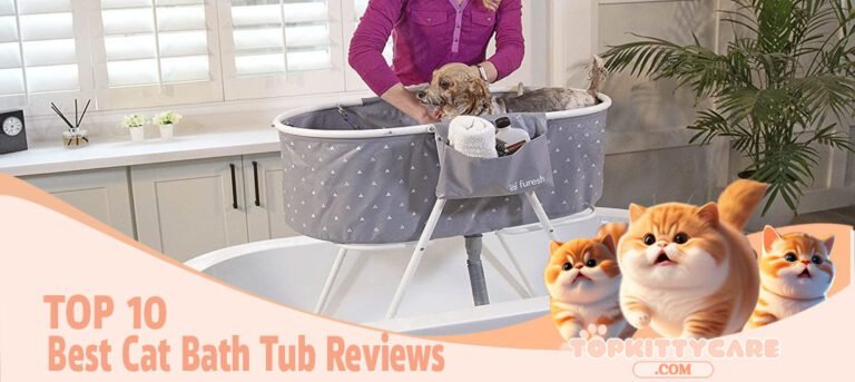 TOP 10 Best Cat Bath Tub Reviews