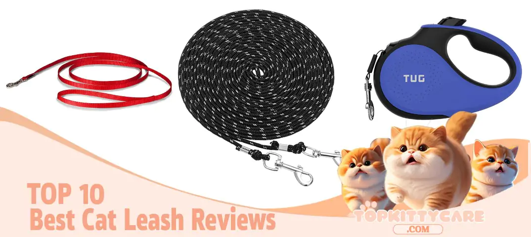 TOP 10 Best Cat Leash Reviews
