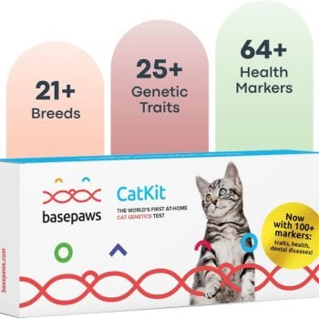 Basepaws Cat DNA Test Kit ads Basepaws Cat DNA Test Kit ads