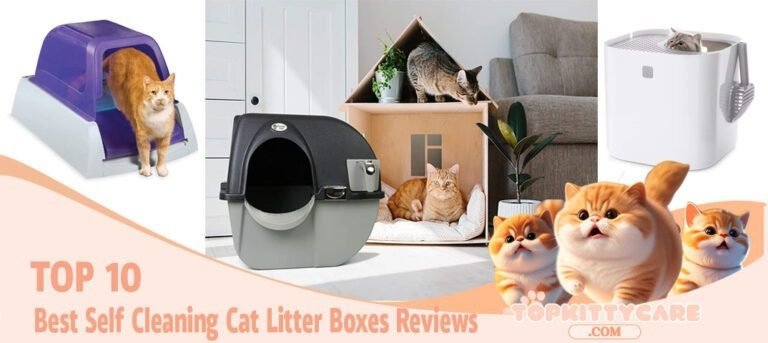 TOP 10 Best Self Cleaning Cat Litter Boxes Reviews