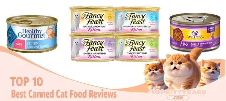 Best Canned Cat Food Reviews TOP 10