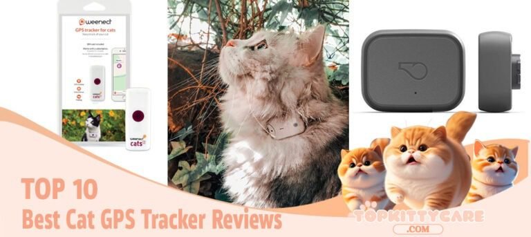 TOP 10 Best Cat GPS Tracker Reviews