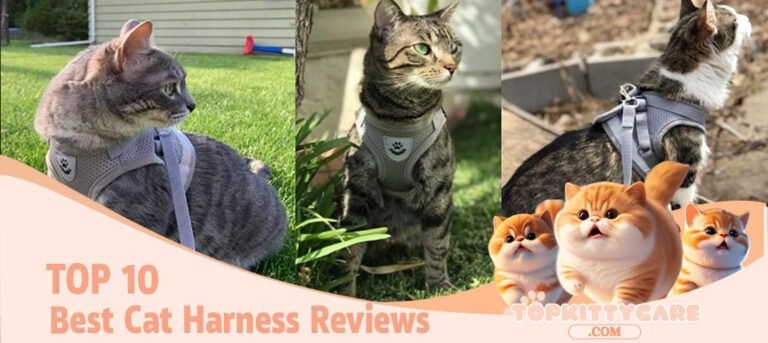TOP 10 Best Cat Harness Reviews