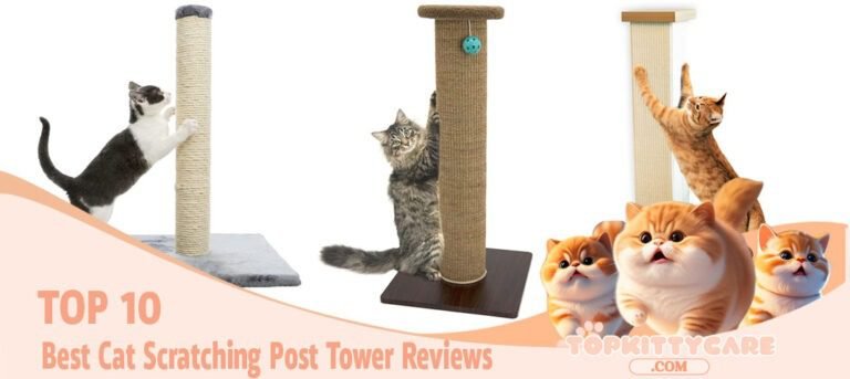 TOP 10 Best Cat Scratching Post Tower Reviews