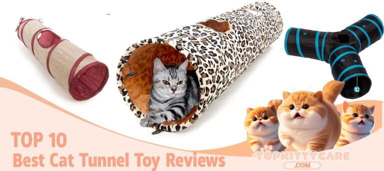 TOP 10 Best Cat Tunnel Toy Reviews