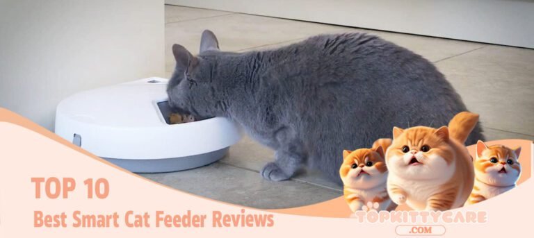 TOP 10 Best Smart Cat Feeder Reviews