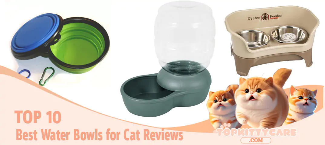 TOP 10 Best Water Bowls for Cat Reviews