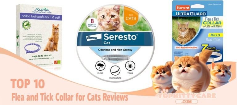 TOP 10 Flea and Tick Collar for Cats Reviews