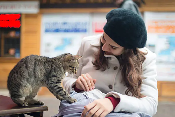 free living cats