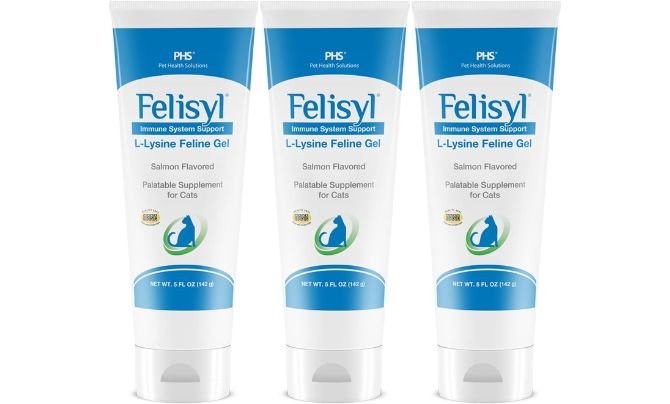 Felisyl L-Lysine and Joint Supplement