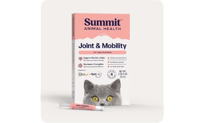 Summit Animal Health Lift Feline Pain Relief Supplement for Cats