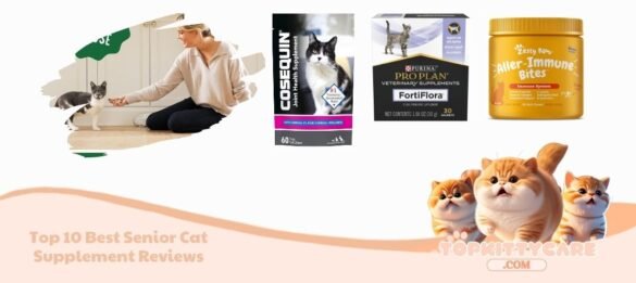 Top 10 Best Senior Cat Supplement Reviews